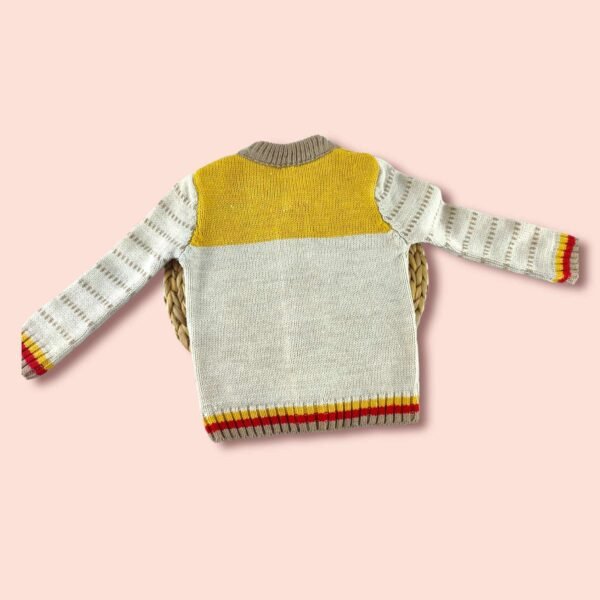 Erkek Çocuk Triko Hırka | Kalın Dokulu | Krem & Sarı - 4. görsel