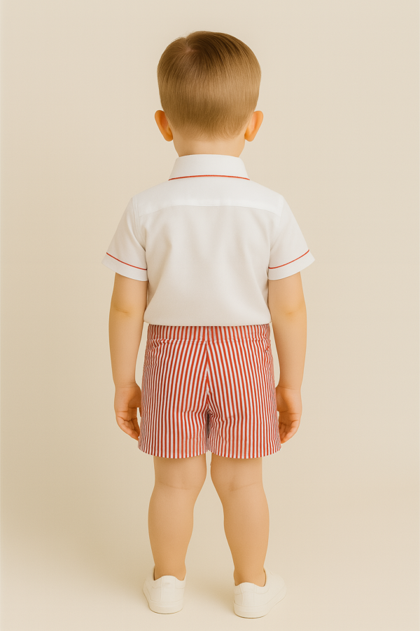 Erkek Çocuk Kısa Kol Gömlekli - Papyonlu - Şortlu Takım - 3. görsel