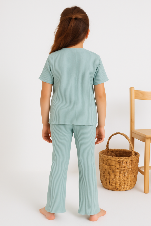 Kız Çocuk Kalp Baskılı Mint Yeşili Renkli Fitilli Kısa Kollu Takım - 4. görsel