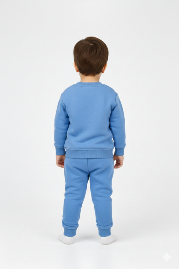 Erkek Çocuk Bluey Yazılı Köpek Baskılı Şardonlu Takım - 3. görsel