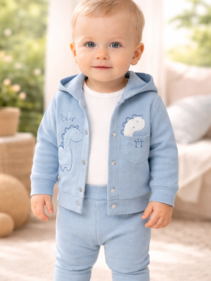 Bebek Erkek Dinozor İşlemeli Kapşonlu Zıbınlı 3'lü Takım, Erkek Bebek Giyim, Mavi Renkli Dinozor Desenli