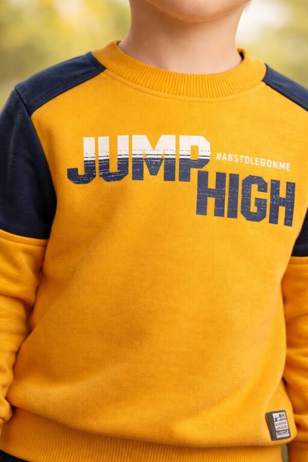 Erkek Çocuk Bisiklet Yaka Takım Hardal Renkli Yumuşak İç Şardonlu - Gorsel 3