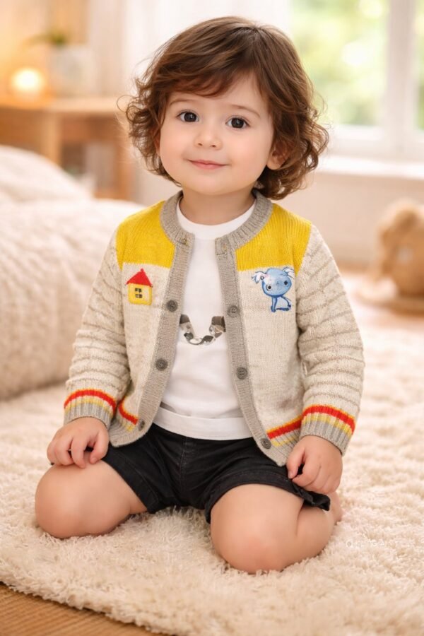 Desenli erkek çocuk triko hırka kalın dokulu rahat ve şık çocuk giyim ürünü - Gorsel 2