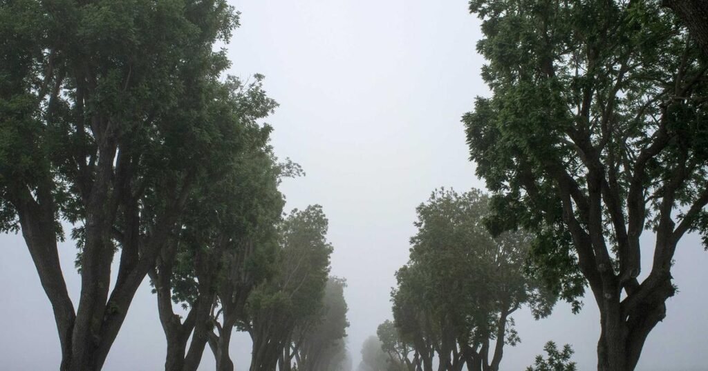 bebek güneş koruması