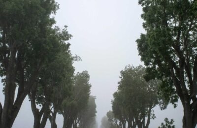 bebek güneş koruması