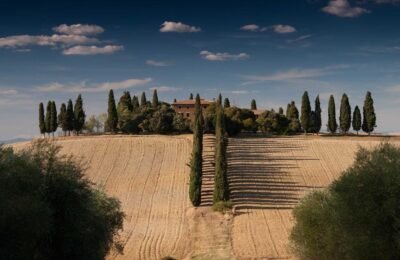 Bebek Body Cesitleri