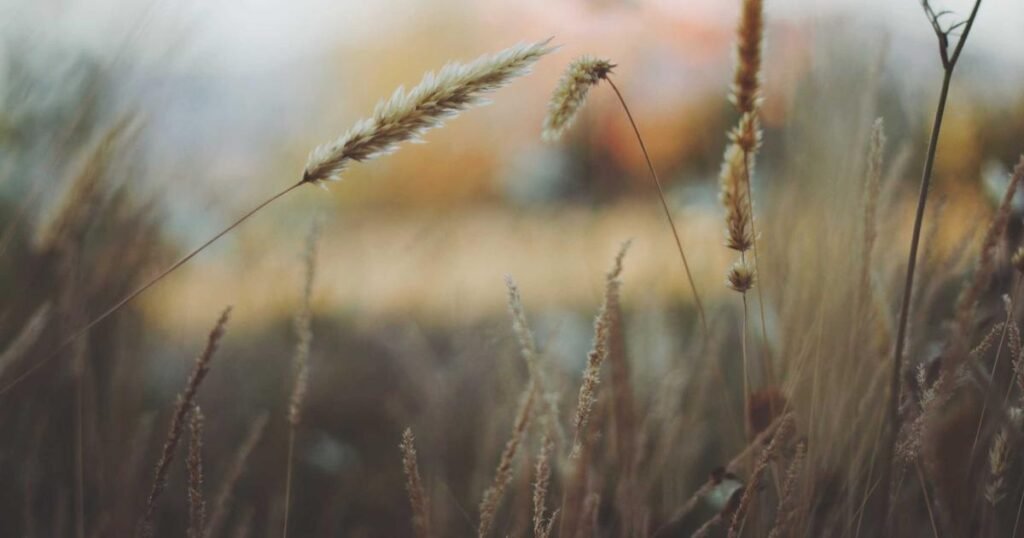 Egzamalı bebek kıyafet seçimi