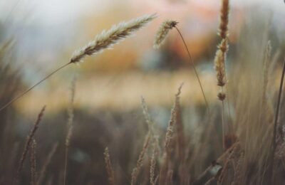 Egzamalı bebek kıyafet seçimi