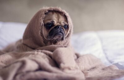 Kreş için çocuk kıyafetleri rehberi